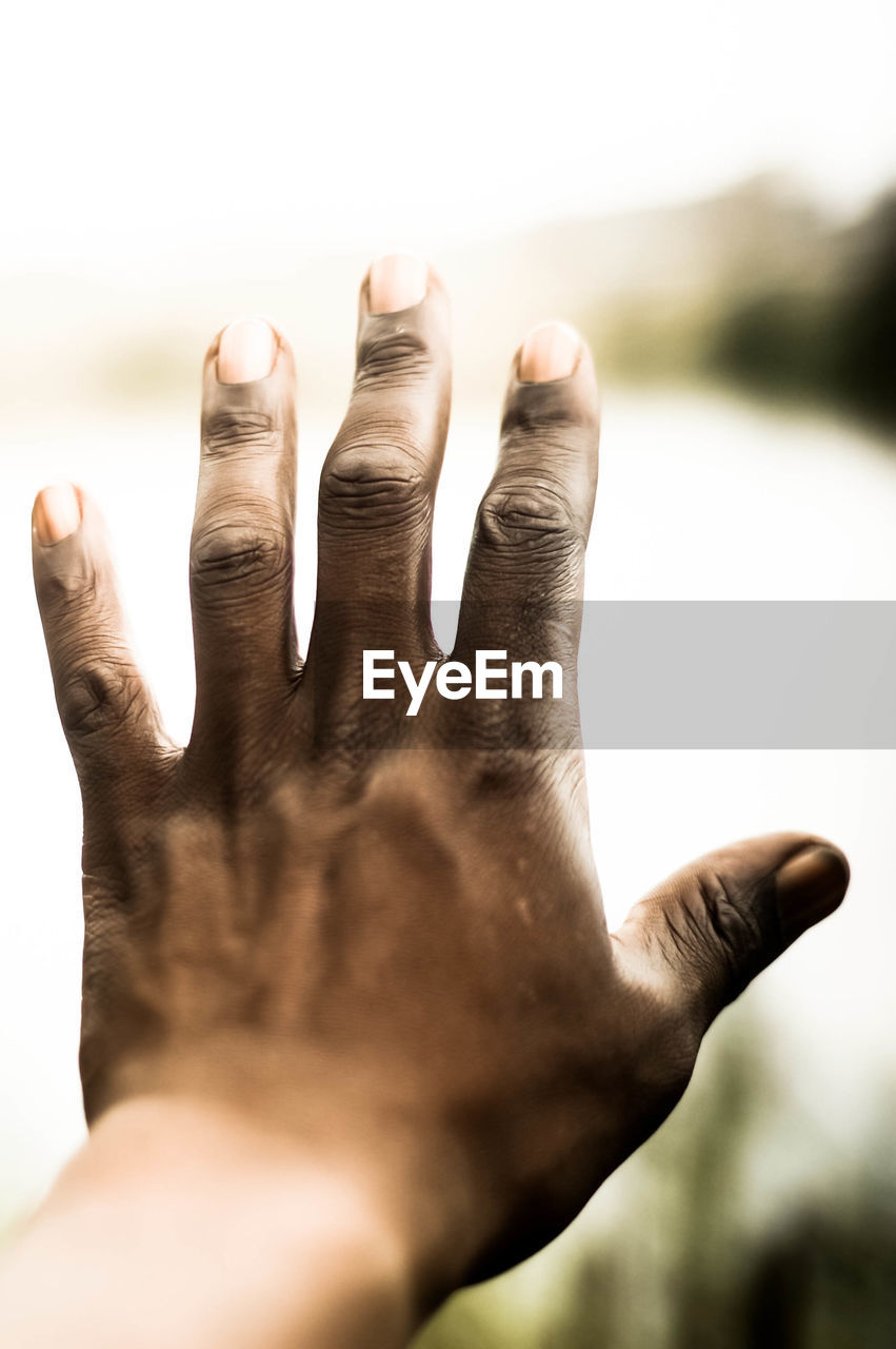 Cropped image of person hand