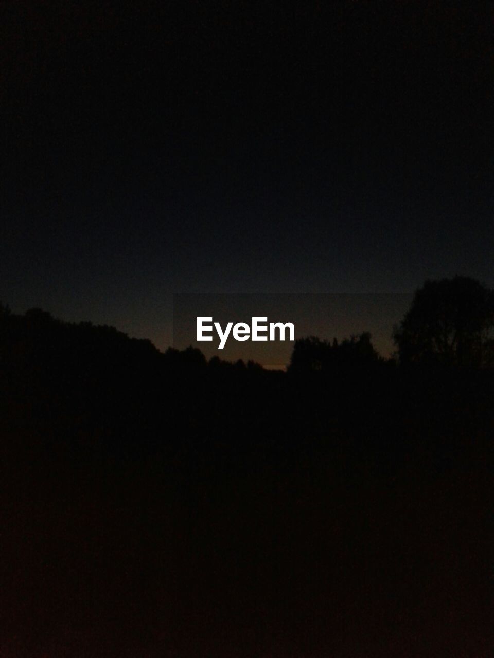 Silhouette of trees at night