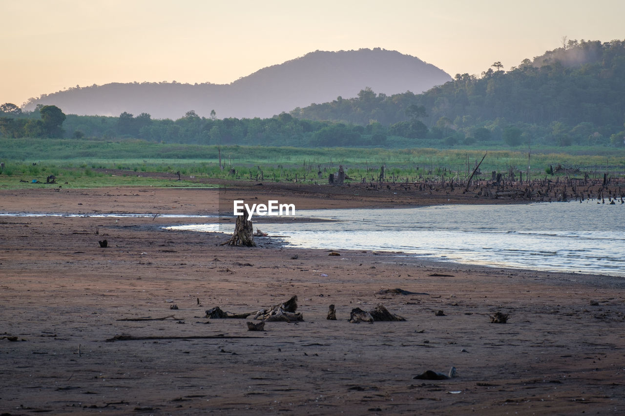 VIEW OF A HORSE IN THE WATER