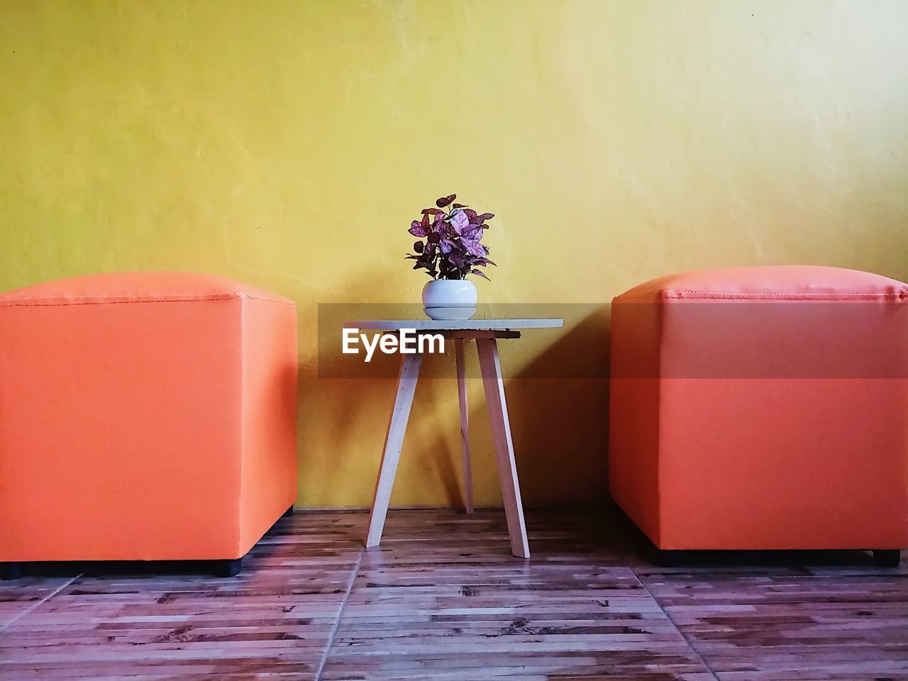 POTTED PLANT ON TABLE AGAINST WALL