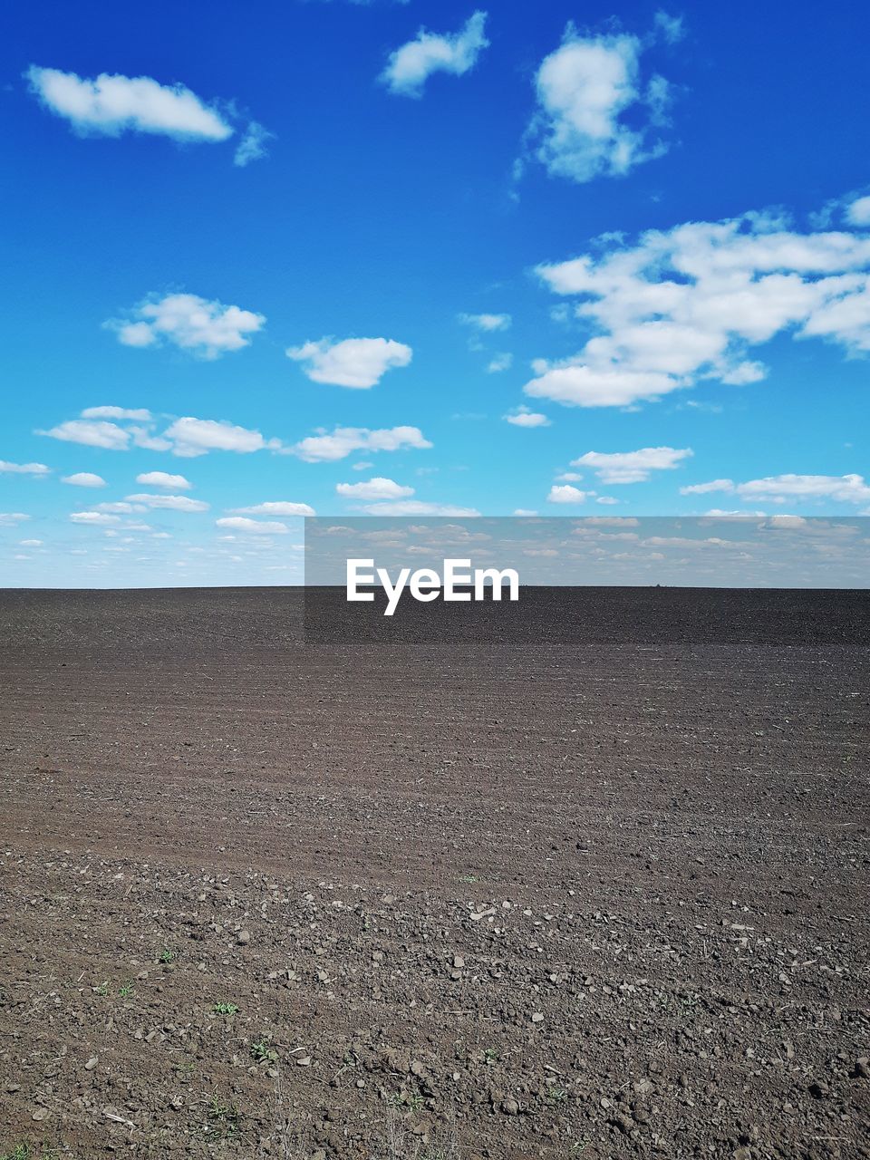 SCENIC VIEW OF FIELD AGAINST BLUE SKY