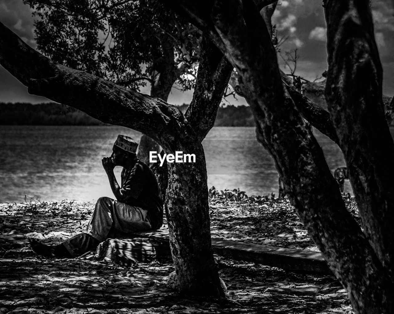 MAN SITTING ON TREE TRUNK BY WATER