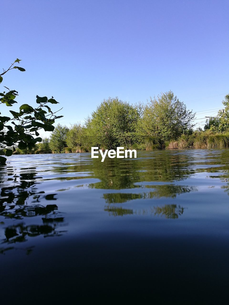 TREES BY LAKE AGAINST CLEAR SKY