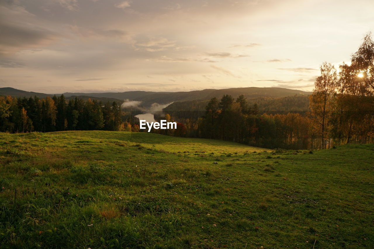 Scenic view of field against sky during sunset