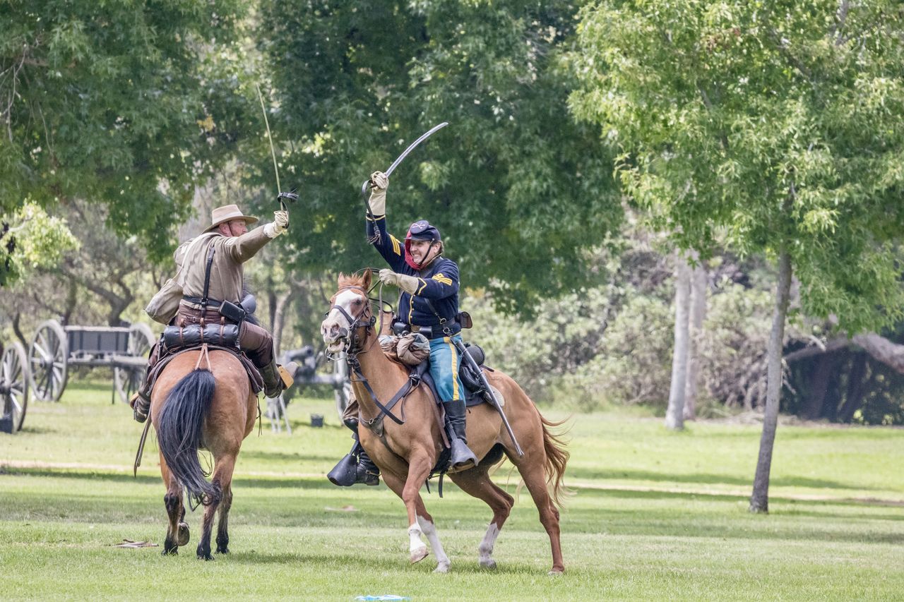 HORSE RIDING HORSES