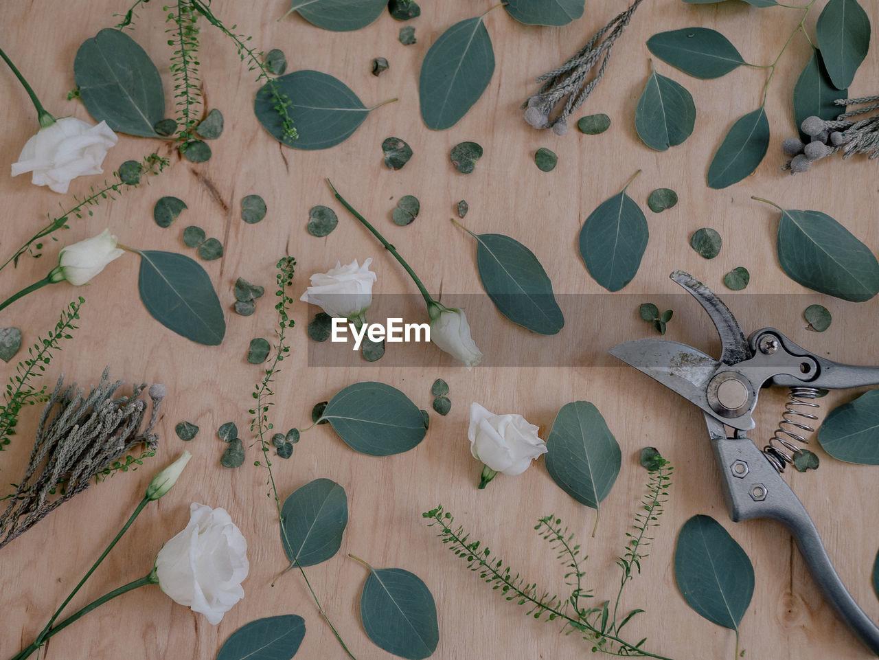 High angle view of plant parts and pruning shears on table