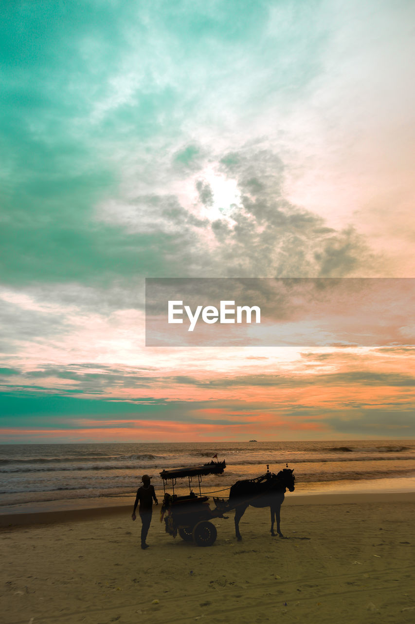 Horses on beach at sunset