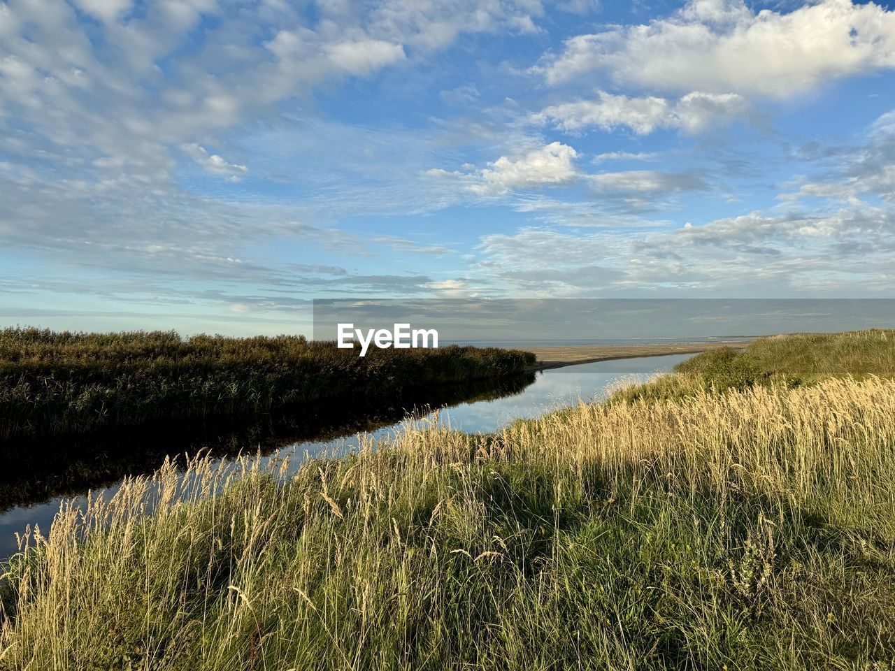 sky, grass, plant, nature, horizon, natural environment, marsh, cloud, scenics - nature, landscape, beauty in nature, water, wetland, shore, land, tranquility, environment, grassland, tranquil scene, no people, meadow, prairie, coast, growth, sea, rural area, field, hill, tree, reflection, wilderness, morning, non-urban scene, day, outdoors, green, rural scene, beach, bog, sunlight, plain