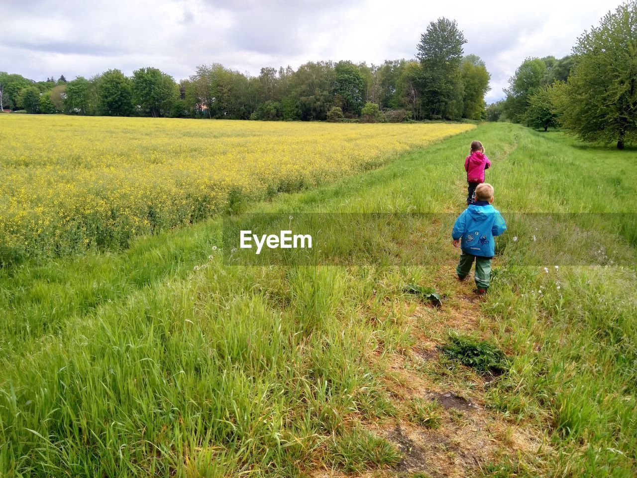 plant, meadow, field, landscape, grassland, land, rural scene, prairie, environment, nature, agriculture, sky, rural area, one person, growth, pasture, full length, adult, childhood, grass, child, crop, women, green, cloud, walking, tree, farm, female, paddy field, beauty in nature, day, lifestyles, leisure activity, outdoors, rear view, cereal plant, flower, casual clothing, scenics - nature, tranquility, men, motion, tranquil scene, plain, non-urban scene