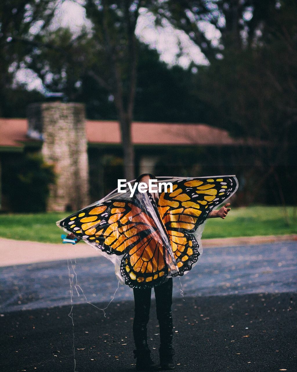 Girl wearing butterfly costume while standing on road