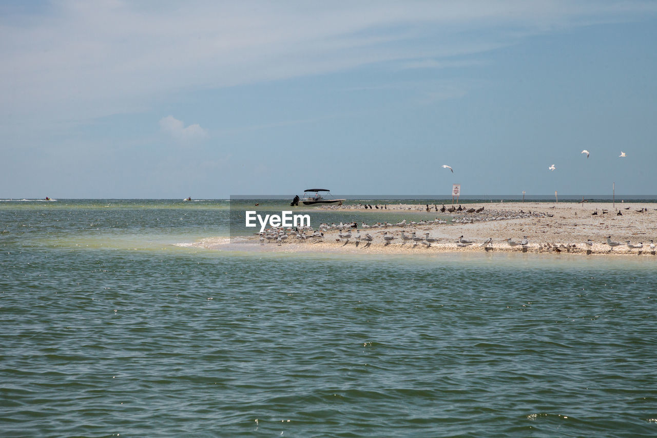 Scenic view of sea against sky