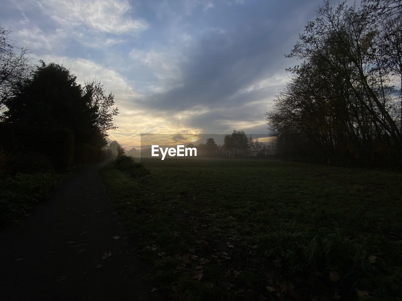 TREES ON FIELD AGAINST SKY AT SUNSET