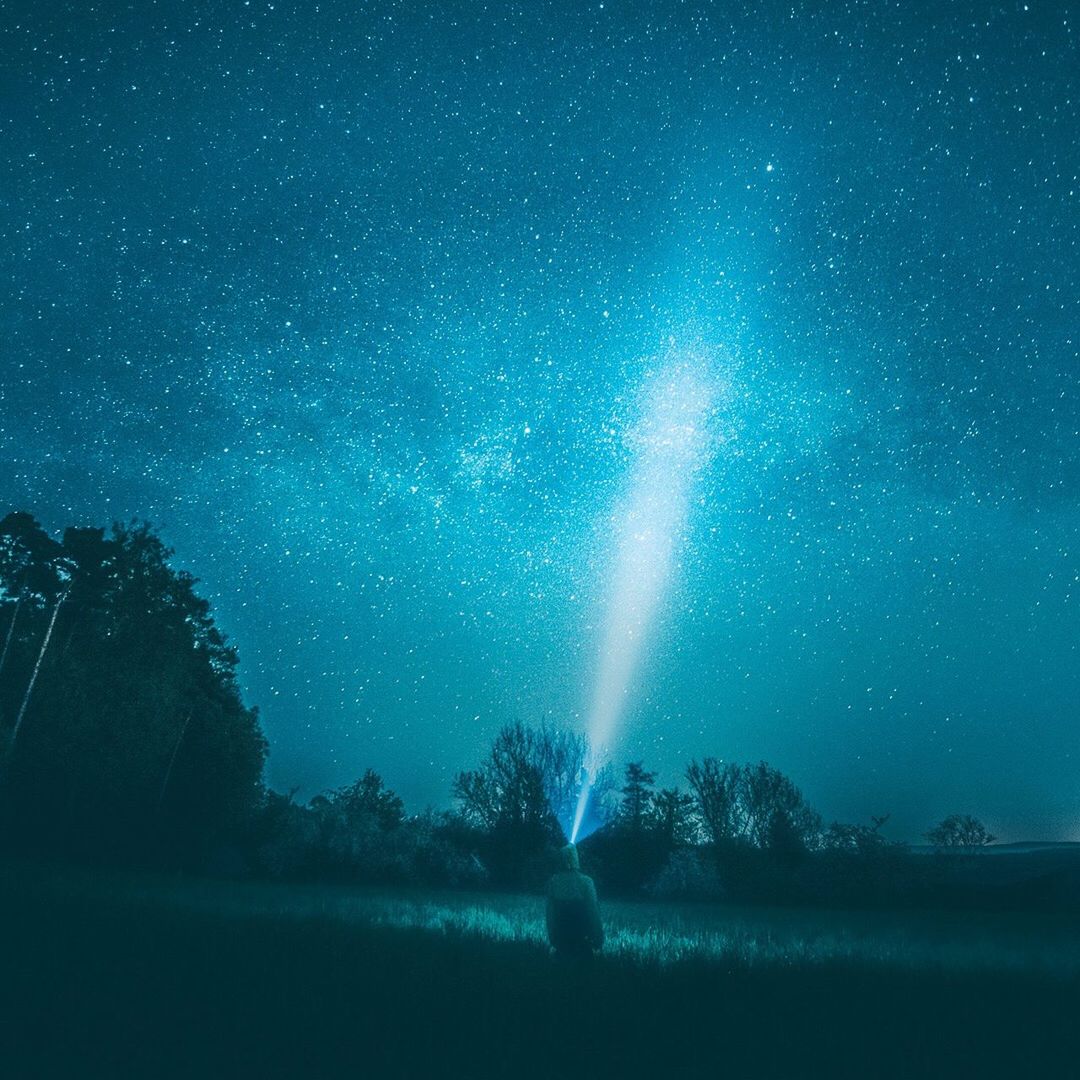 Trees on field against sky at night