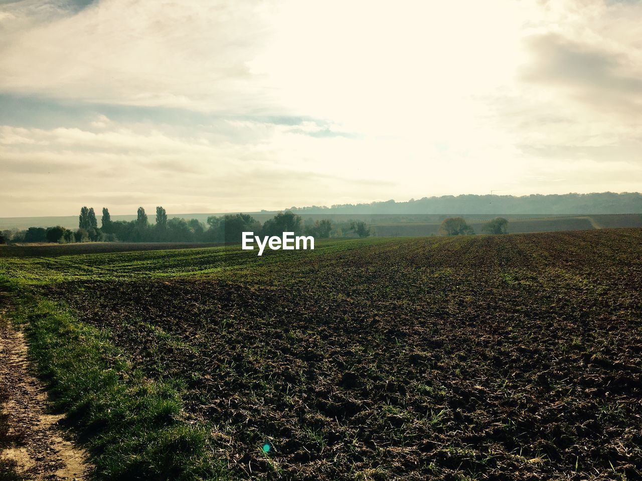 FIELD AGAINST CLOUDY SKY