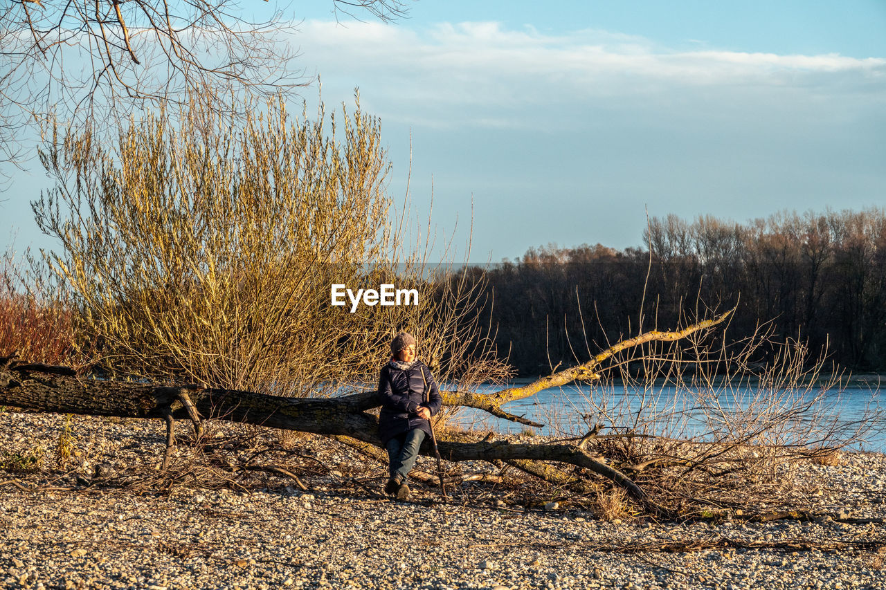 FULL LENGTH OF BARE TREES ON LAKE AGAINST SKY