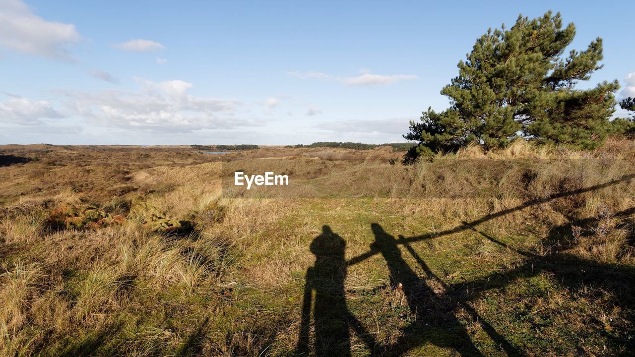 TREES GROWING ON FIELD AGAINST SKY