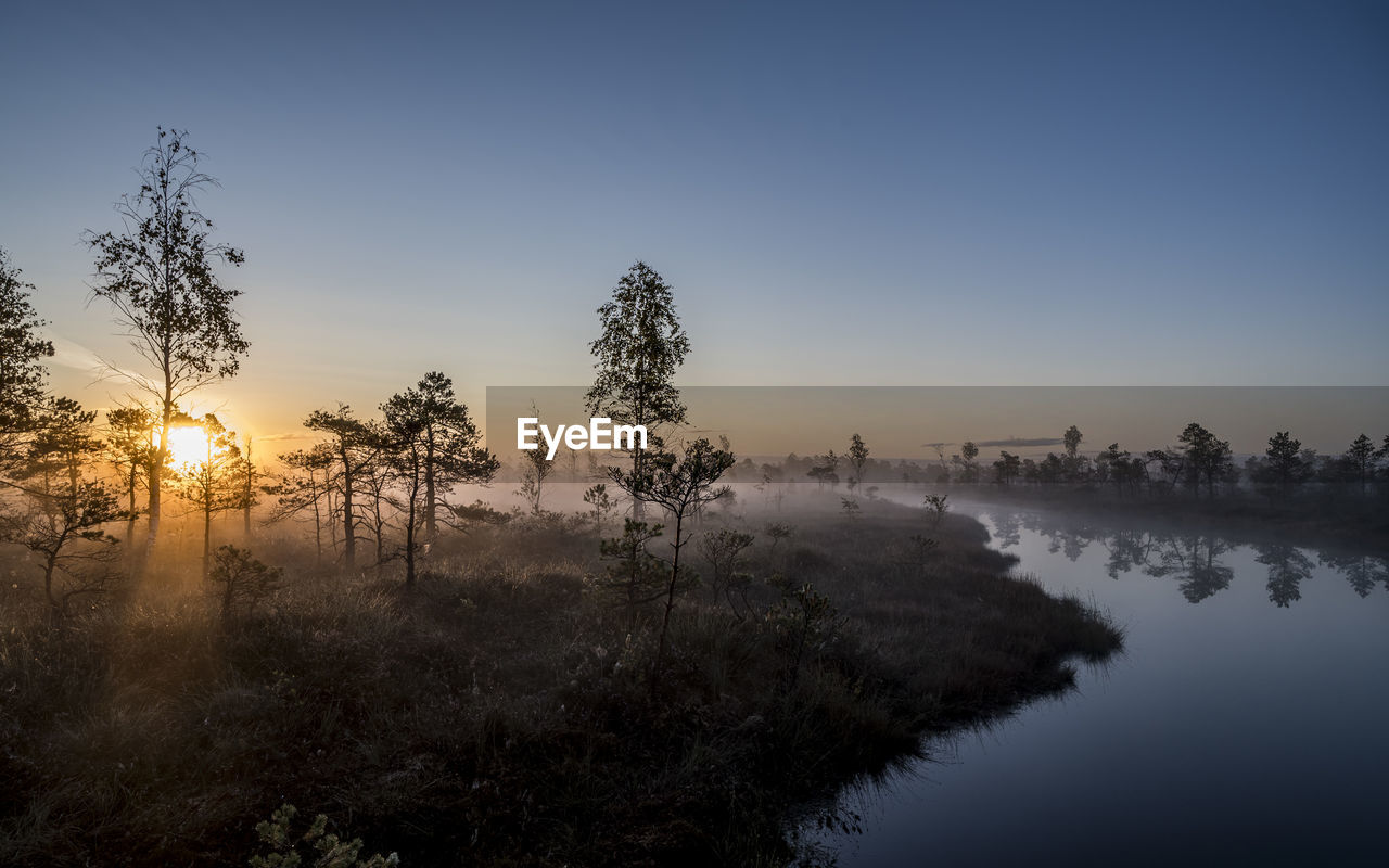 Trees on landscape against sky during sunset