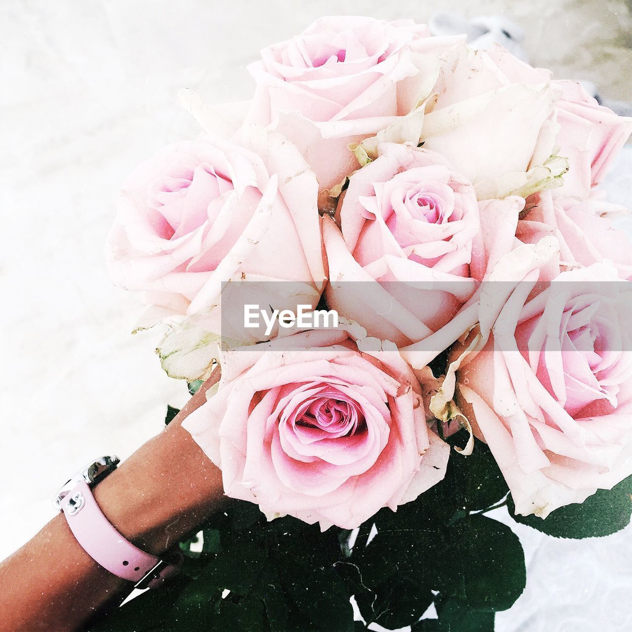 High angle view of cropped hand holding rose bouquet