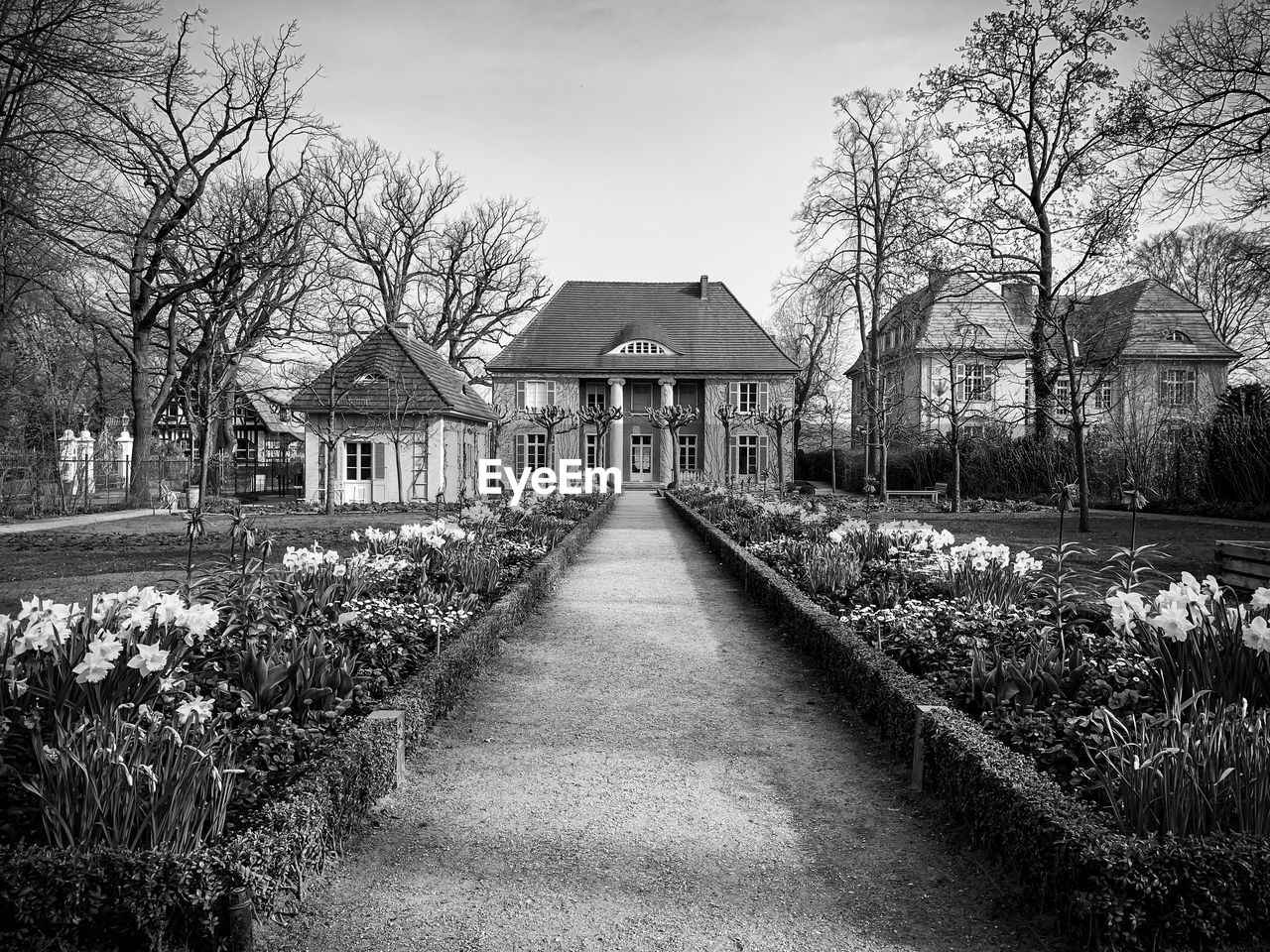 FOOTPATH AMIDST HOUSES AND TREES AGAINST SKY