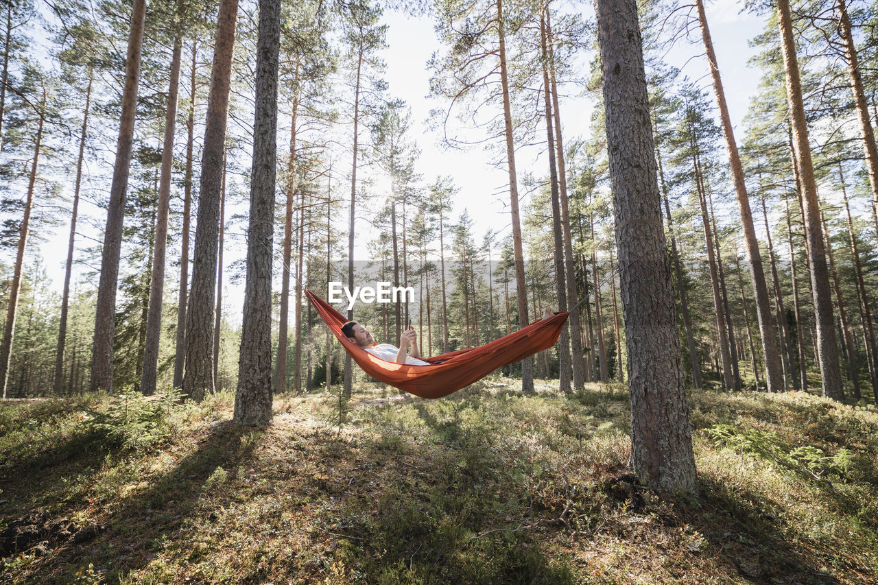 Man reading book in hammock in forest