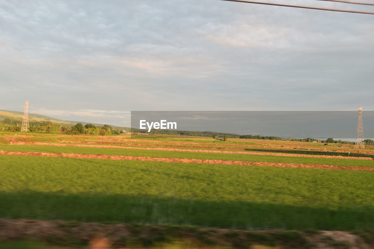 SCENIC VIEW OF FARM AGAINST SKY