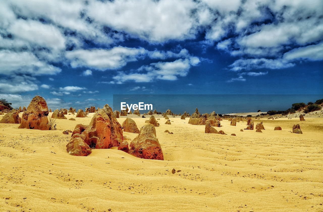 Termite mounds on sand