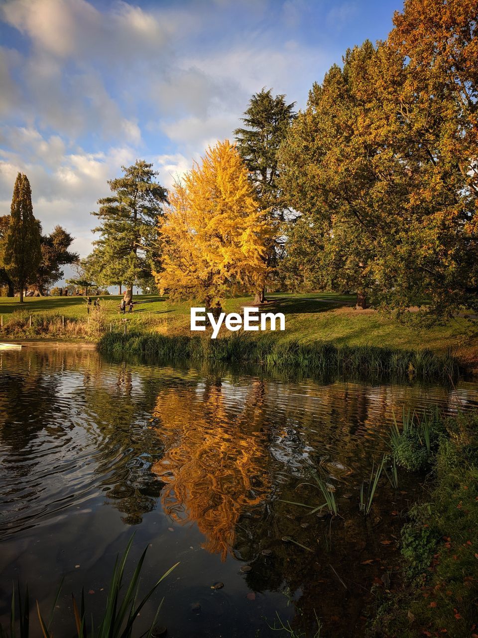 Trees by lake against sky during autumn