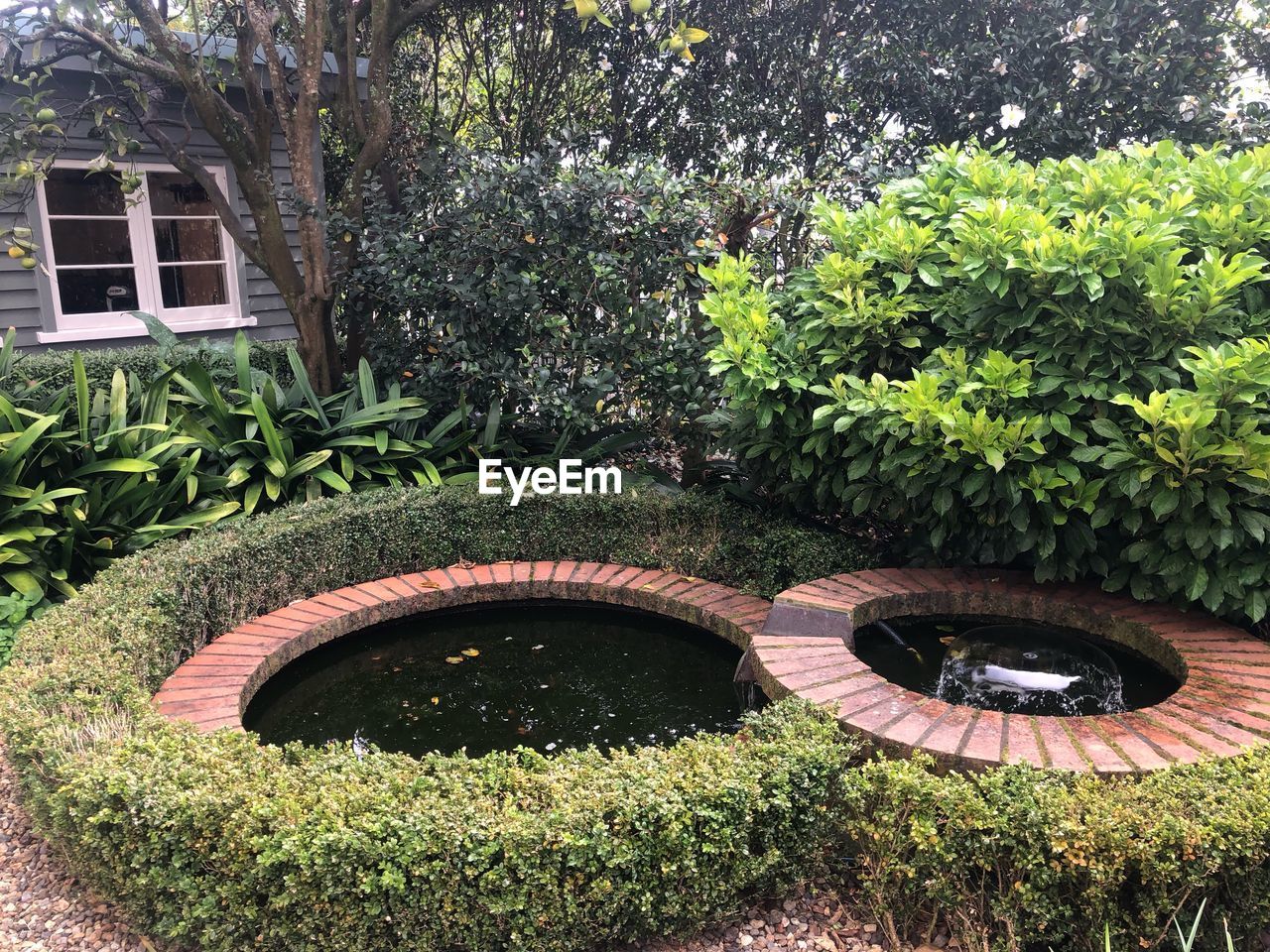 HIGH ANGLE VIEW OF GRASS IN GARDEN