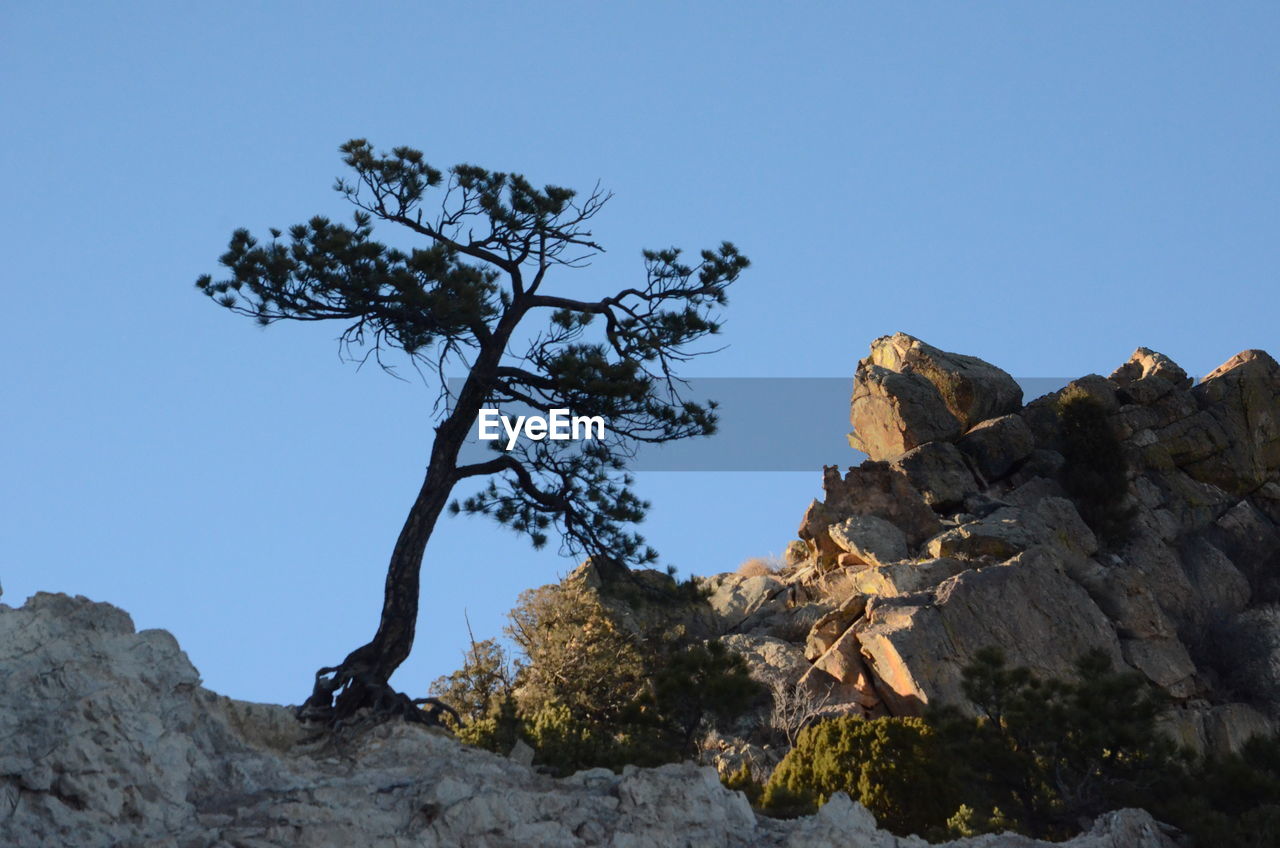 LOW ANGLE VIEW OF ROCK FORMATION AGAINST CLEAR SKY