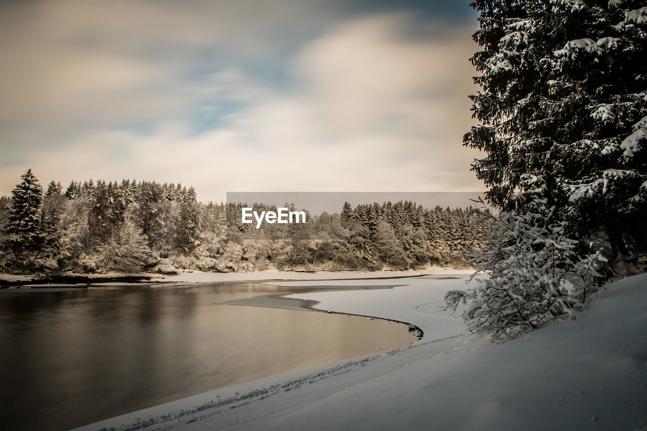 SCENIC VIEW OF LAKE BY TREES AGAINST SKY