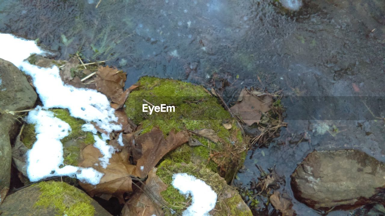 HIGH ANGLE VIEW OF ROCKS IN WATER