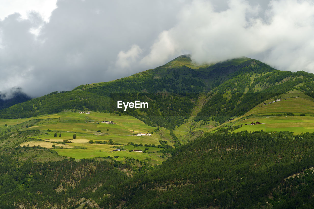 SCENIC VIEW OF FARMS AGAINST SKY