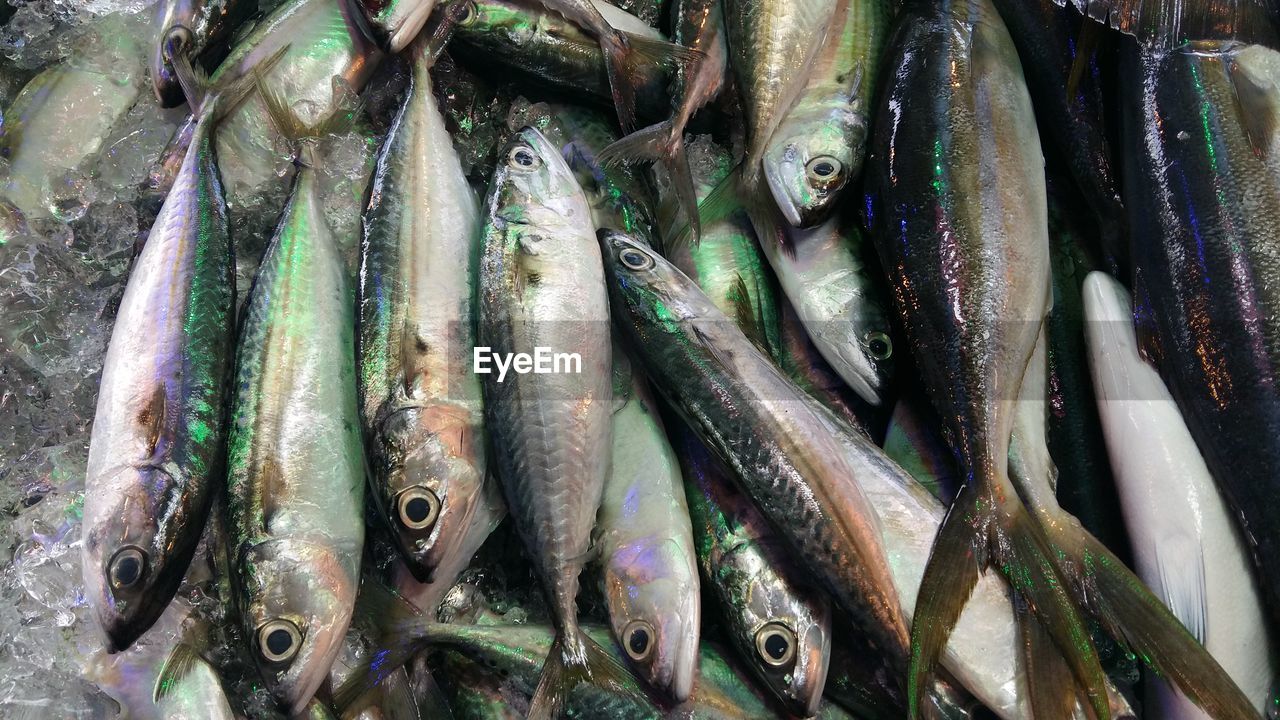 CLOSE-UP OF FISH FOR SALE AT MARKET STALL