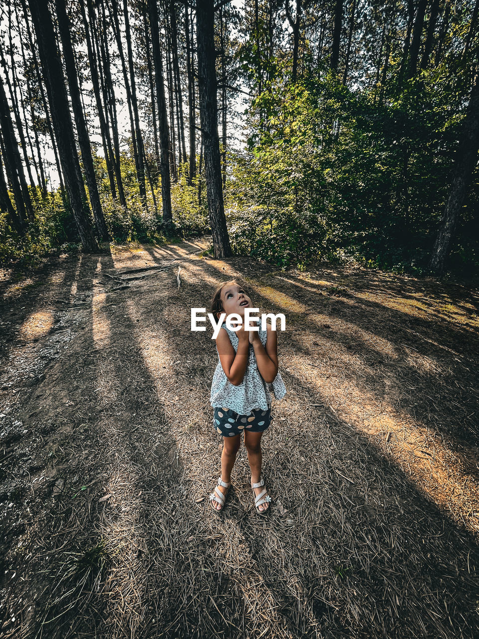 Rear view of girl walking on field in forest