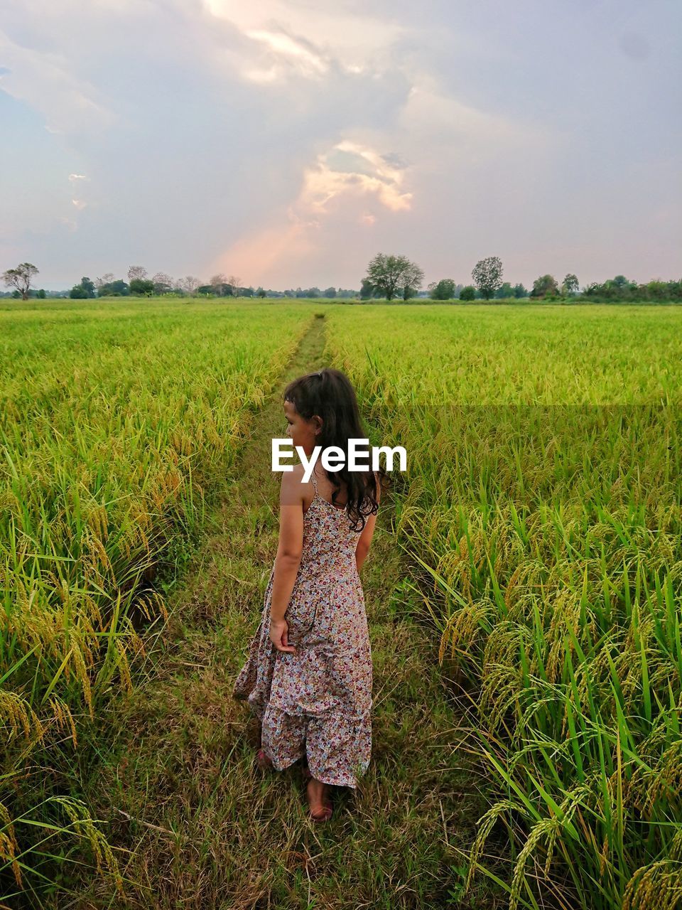 Full length rear view of girl walking on field against sky