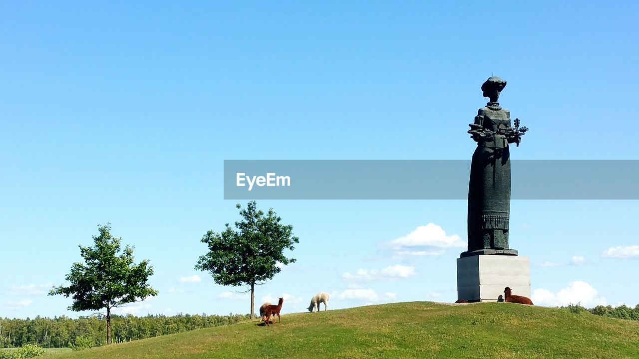 Low angle view of llama by female statue on hill against sky