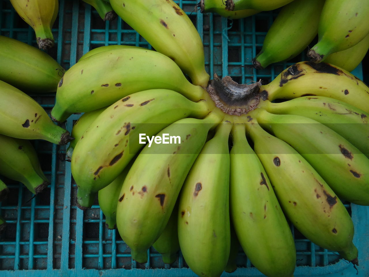 Close-up of fruits for sale at market stall