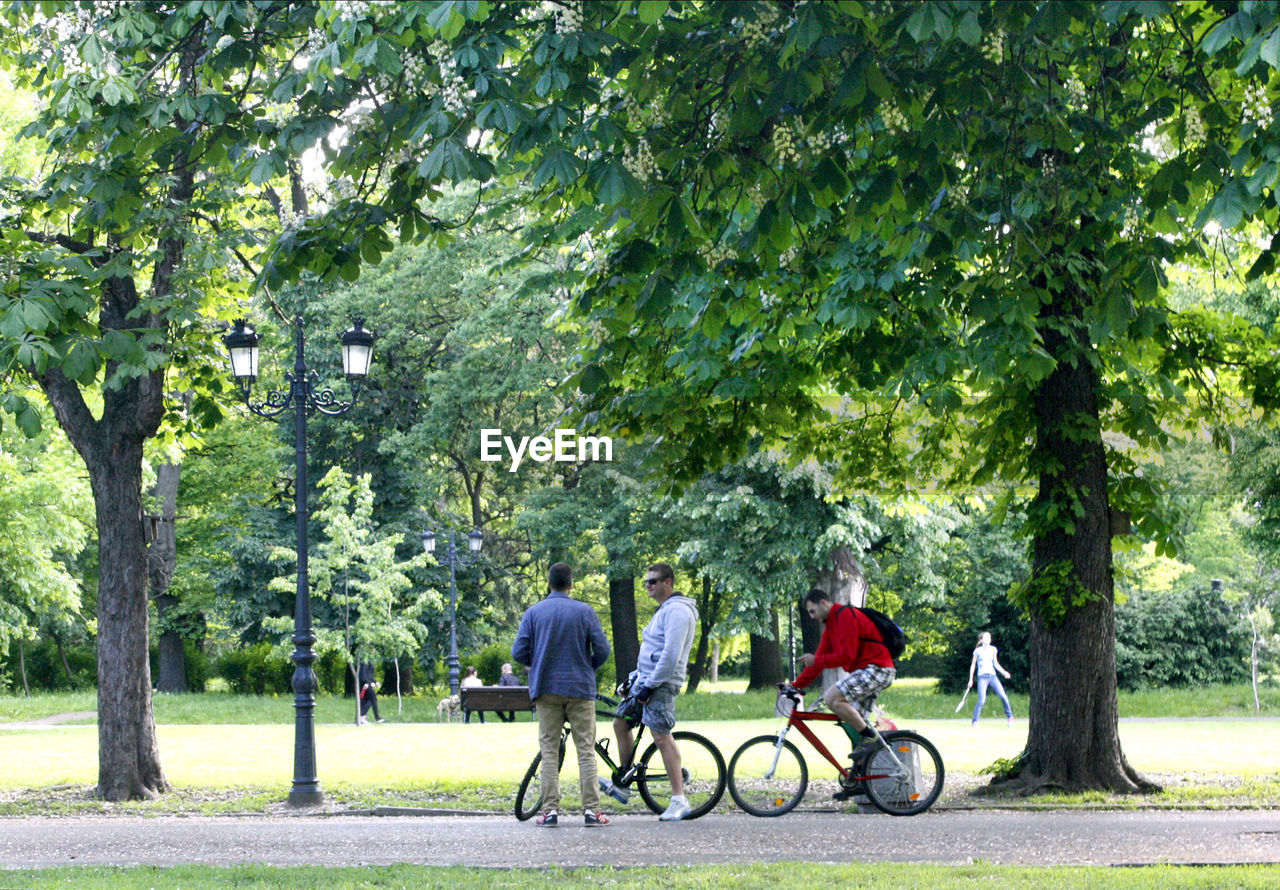 PEOPLE RIDING BICYCLES ON PARK