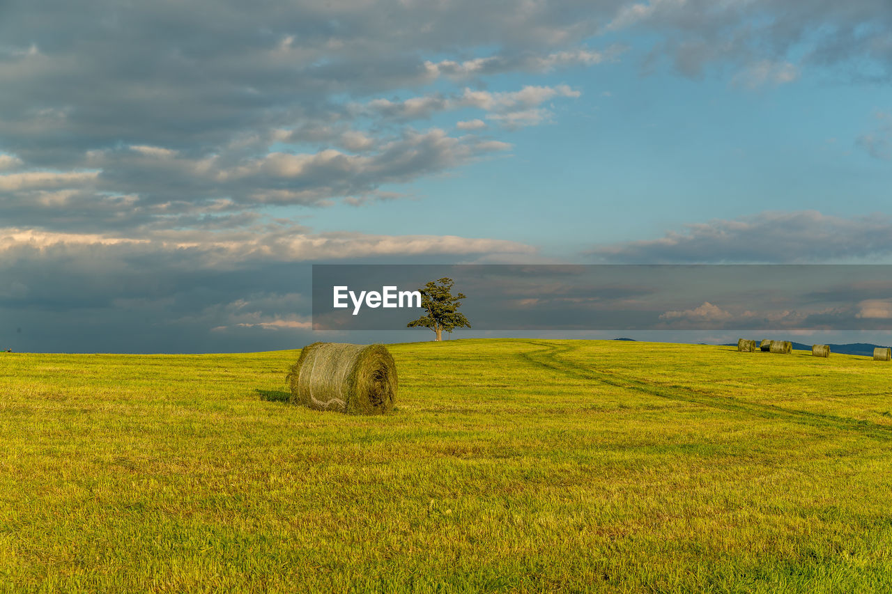 SCENIC VIEW OF FIELD AGAINST SKY DURING SUNSET