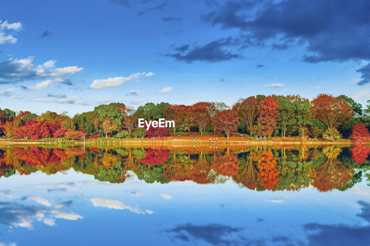 Reflection of trees in lake against sky during autumn