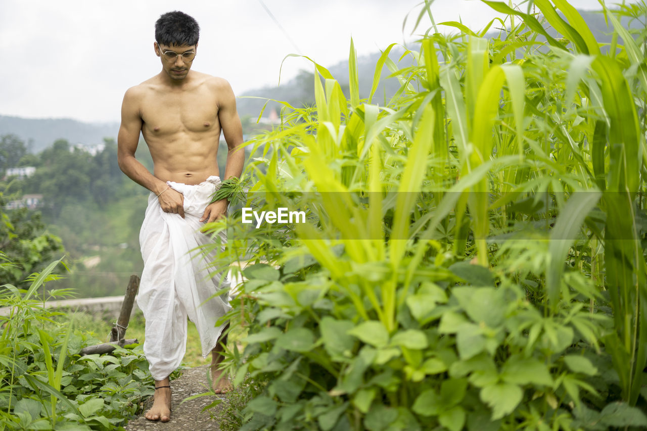 Young indian fit boy, walking on a pathway beside crops in the field. an indian priest walking .