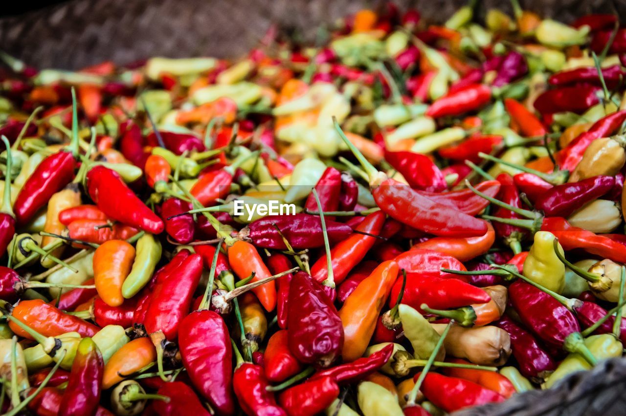 High angle view of chili peppers