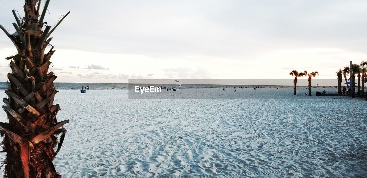 VIEW OF BEACH AGAINST SKY