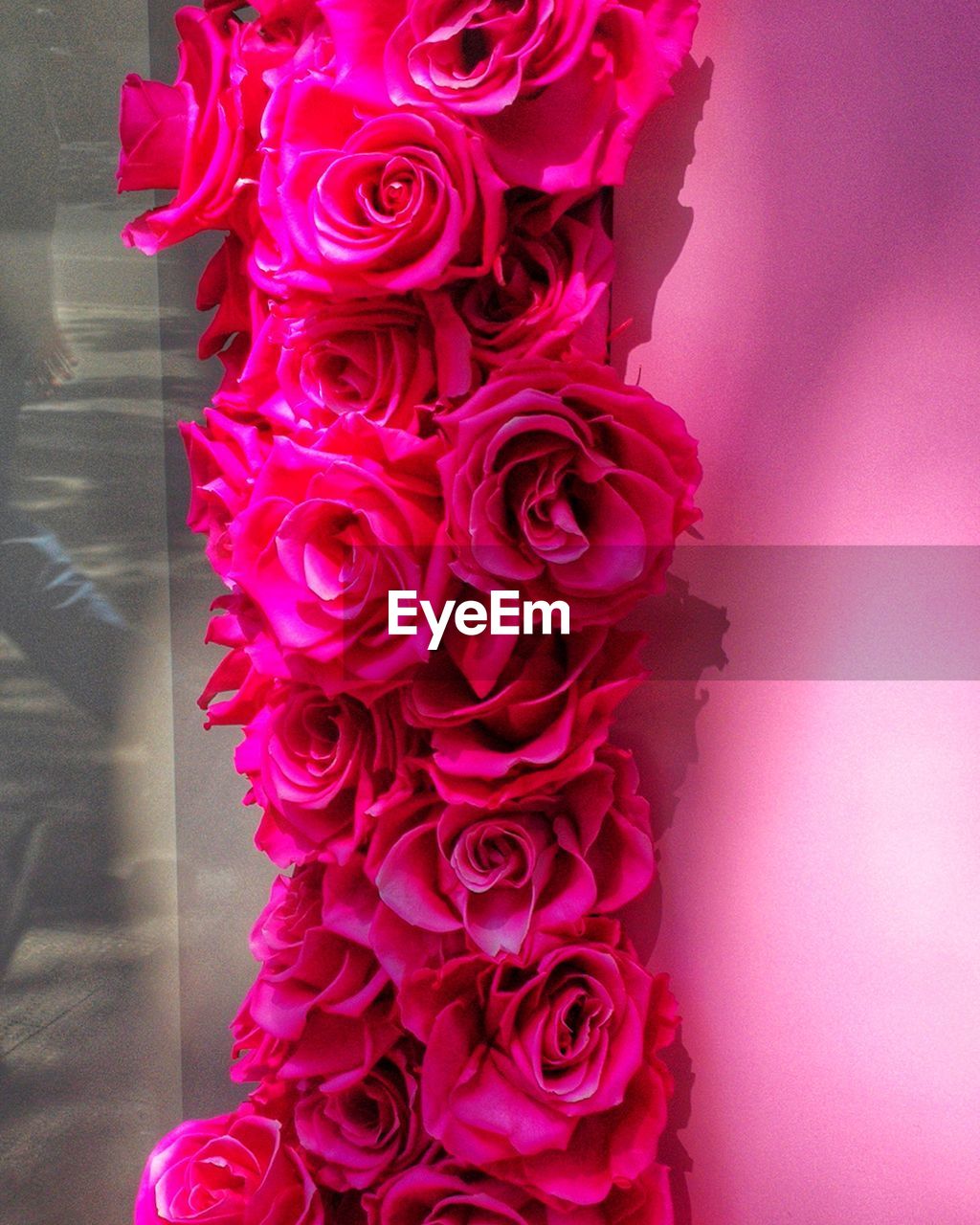 pink, flower, flowering plant, rose, beauty in nature, plant, bouquet, red, garden roses, petal, purple, cut flowers, flower arrangement, fragility, freshness, flower head, indoors, nature, close-up, floristry, no people, inflorescence, vase, arrangement, celebration