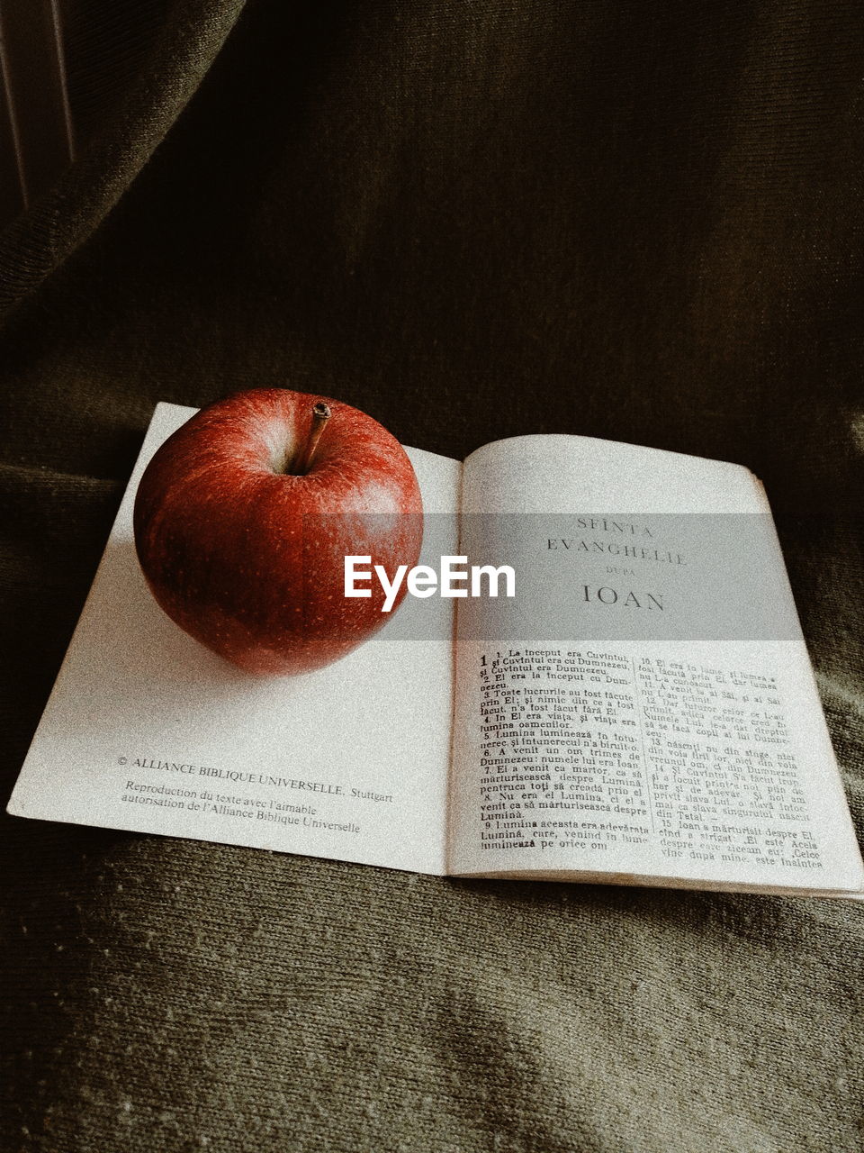 HIGH ANGLE VIEW OF APPLE ON BOOK