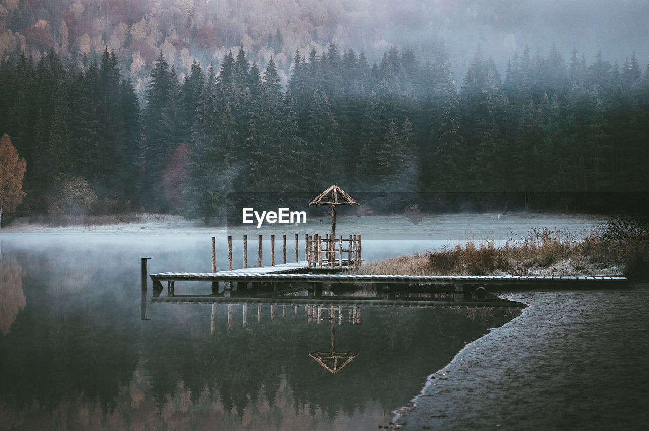 Jetty on lake against trees during foggy weather