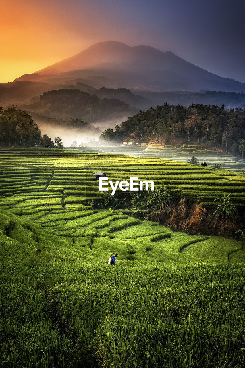 SCENIC VIEW OF FARM AGAINST SKY DURING SUNSET