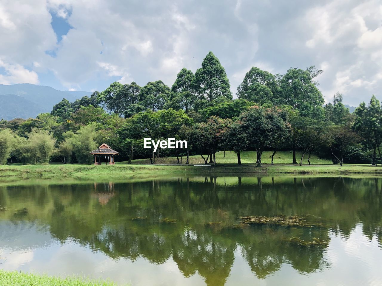 Scenic view of lake by trees against sky