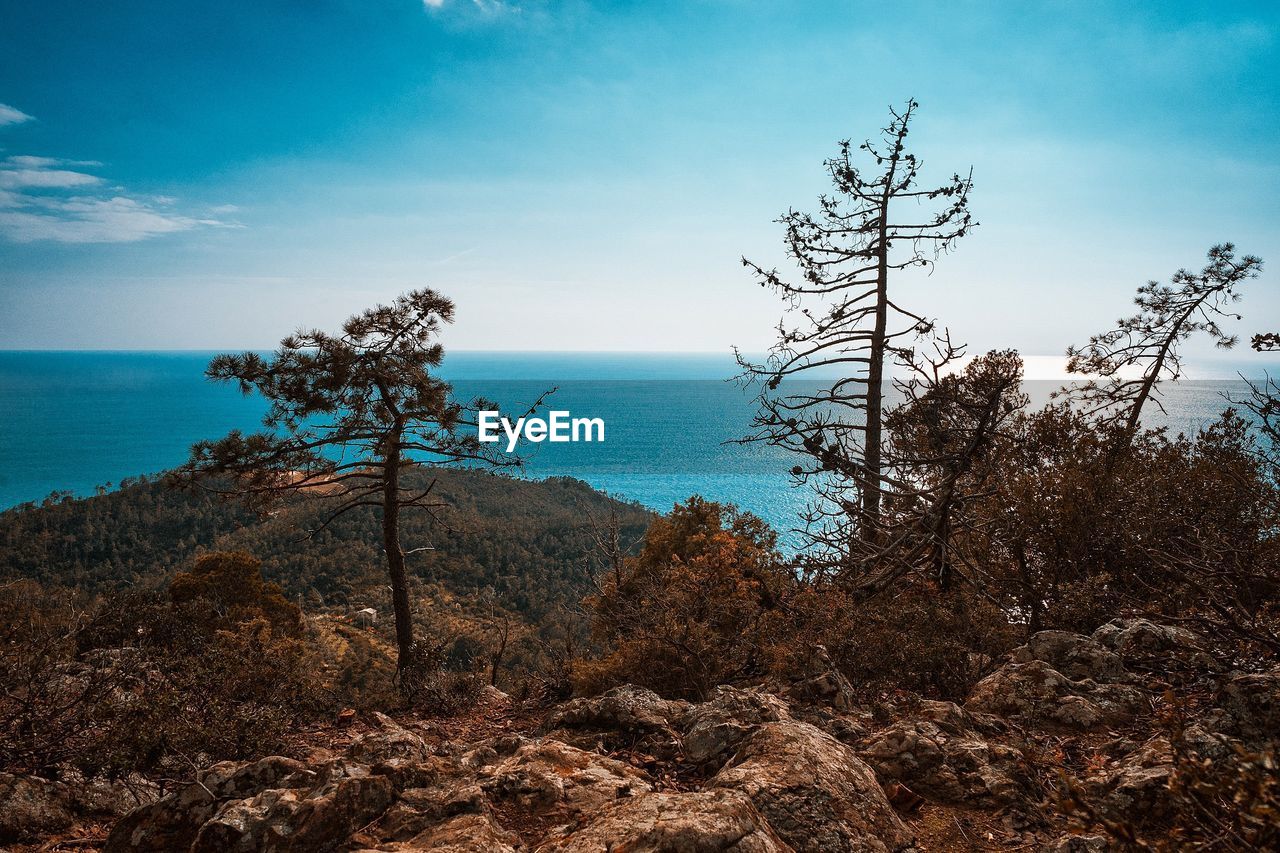 Scenic view of sea against blue sky