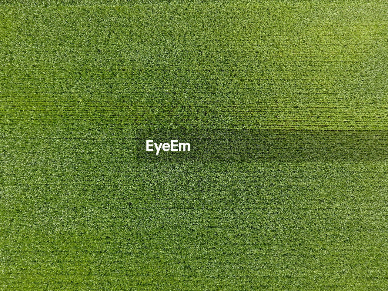 FULL FRAME SHOT OF GREEN FIELD